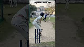 Off spinner what a Ball cricket [upl. by Mendie472]