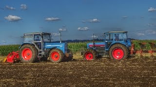 EICHER 3145 amp 3133 bei der Bodenbearbeitung 2016  Ackern und Kreiseleggen mit Eicher Power [upl. by Cal]