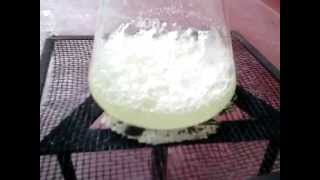 How to make Potassium Chlorate  KClO3  from bleach [upl. by Jeraldine]