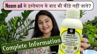 HOW WHEN TO USE NEEM OIL FOR PLANTS नीम आयल MEALYBUGS APHIDS LEAFMINER neemoil plants gardening [upl. by Tann]