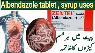 zentel tablet use in urdu  Albendazole tablets uses [upl. by Christianson]