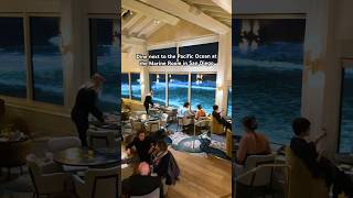 Unbelievable oceanfront dining at The Marine Room in San Diego California travel [upl. by Ydnem]