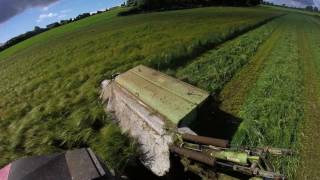 Mowing Whole Crop Silage [upl. by Surdna]