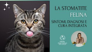 Stomatite felina tutto quello che devi sapere [upl. by Anaerol]