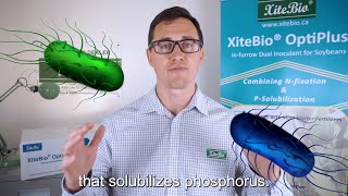 Sales Series  What is XiteBio® OptiPlus® [upl. by Pratte]