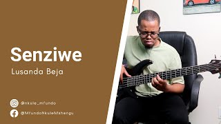 Lusanda Beja  Senziwe  bass Cover [upl. by Atteinotna610]