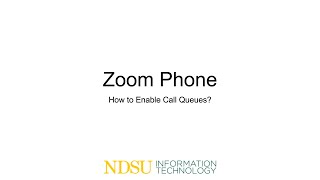 EnablingDisabling Zoom Phone Call Queues 048 [upl. by Aniroz]