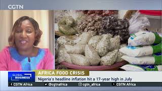 African economies struggling with inflation high food prices [upl. by Kirshbaum]