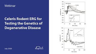 Celeris Rodent Electroretinography ERG for Testing the Genetics of Degenerative Disease [upl. by Fitzsimmons]