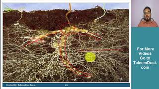 Biology Chapter 8 part 1  Free Video Lectures of FScMDCATUniversity Entry TestsExams [upl. by Neumeyer]