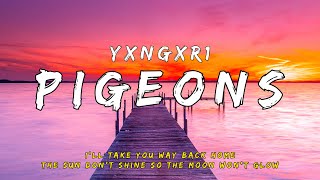 yxngxr1  PIGEONS Lyrics [upl. by Tuck]