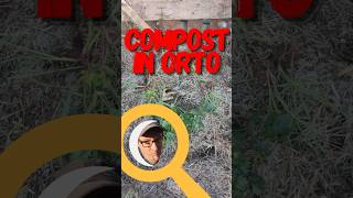 Il potere del compost segreto di un orto rigoglioso [upl. by Addison]