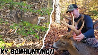 2 DEER DOWN IN 1 MINUTE BUCK GRUNTED IN TO 3 YARDS Crazy November action in KY [upl. by Kenlay185]