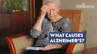 Can Alzheimer’s Disease be prevented [upl. by Nosnaj]