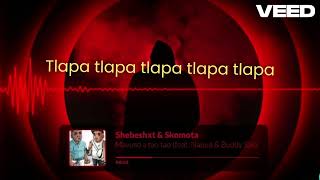 MAVUSO A TAO TAO LYRICS Shebeshxt amp Skomota [upl. by Giannini]