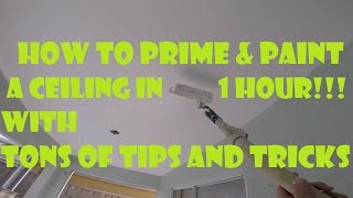 How to Prime and Paint a Ceiling FAST in 1 Hour Tons of DIY Ceiling Painting Tips and Tricks [upl. by Camala]