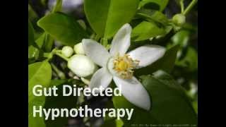 Gut Directed Hypnotherapy [upl. by Ziladnerb]