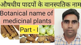 Botanical name of medicinal plants part 1 Top ten medicinal plants औषधीय पौधों के वानस्पतिक नाम [upl. by Rosner]