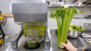 HOW MUCH JUICE IS IN 1 STALK OF CELERY [upl. by Sokram]