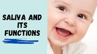 Introduction to Saliva and its Functions [upl. by Cavan]