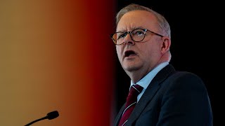 Coalition calls for Anthony Albanese to refer himself to NACC [upl. by Malilliw33]