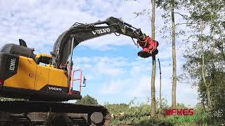 Cirkelzaag Bomengrijper  Groeneveldt Grijpers  Ufkes Greentec  Tree Felling [upl. by Marcia]