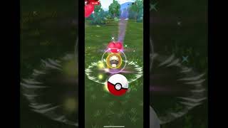 Catching bidoof [upl. by Edya]