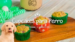 Cupcakes caseros para tu perro [upl. by Cunningham]