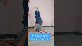 attempt for vipreet karni asan by bigner trendingyoga [upl. by Suiramed]