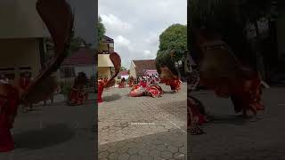 FESTIVAL REOG PONOROGO [upl. by Aiuqet409]