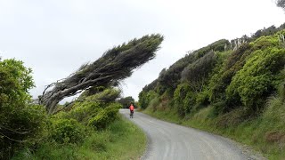 Raglan Harbour Loop [upl. by Boehmer45]