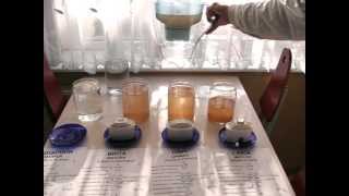 Aquaphor Brita Dafi Laica Water Filter Test  Part 3 [upl. by Isoj698]