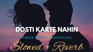 Dosti Karte Nahin Dosti quotAarzooquot  Slowed amp Reverb  Alka Yagnik Kumar Sanu  Vikas Dhakad Official [upl. by Nylaehs]