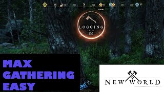 Max Level Gathering Made EASY New World Aeternum [upl. by Attirb]