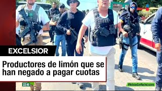 Crimen organizado corta árboles de limoneros en Michoacán [upl. by Hayilaa]