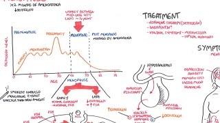 Comprenda La Fisiología De La Menopausia Síntomas Y Tratamiento [upl. by Jaqitsch356]