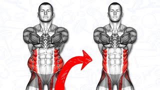 5 Min Perfect Obliques Workout at Home For Beginners [upl. by Eniarrol]