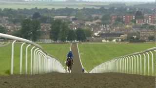 Newmarket  Made for the Racehorse Short version [upl. by Thin]