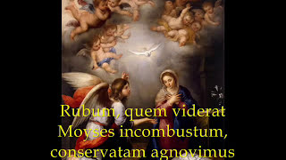 Rubum Quem Viderat and Magnificat  Christmas Gregorian Chant [upl. by Jaquith]