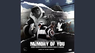 Memory Of You [upl. by Innor]