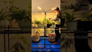 ⚡Growing and protecting plants in winter ❄️  US gardening tips in cold season  shorts [upl. by Fennessy223]