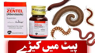 zentel tablet use in urdu  zentel syrup  zentel 400 mg tablet uses in hindi [upl. by Elsy437]