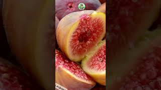 Add the natural sweetness of Figs to your diet 🍃 reelindia rendingshorts figplant figfruit [upl. by Ynnek573]