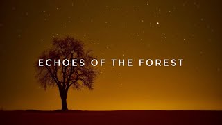 Echoes of the Forest  Thomas Ben Tov Sémø CINEMATIC MUSIC [upl. by Hillel708]