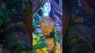 Navratri Naidunia Maii Dasvdin Maa Chali trending navratri durga shortsvideo [upl. by Nickerson262]