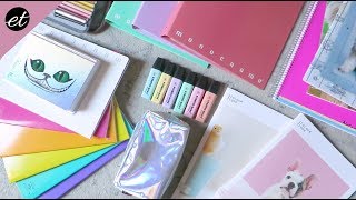 Mega HAUL di CARTOLERIA  Stationery Haul [upl. by Fesoy]