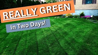 How to get a REALLY GREEN lawn with a Double Dark application from NEXT liquid products Episode 7 [upl. by Ambrose657]