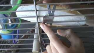 How to Attach a Cuttlebone to a Bird Cage [upl. by Anillehs]