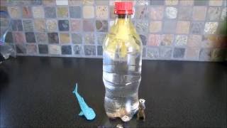 Cartesian Diver Science Experiment [upl. by Aneeh]