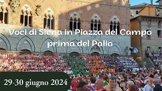 【Siena Palio 2024】29 giugno assegnazione  30 giugno la Terza Prova [upl. by Pernick]